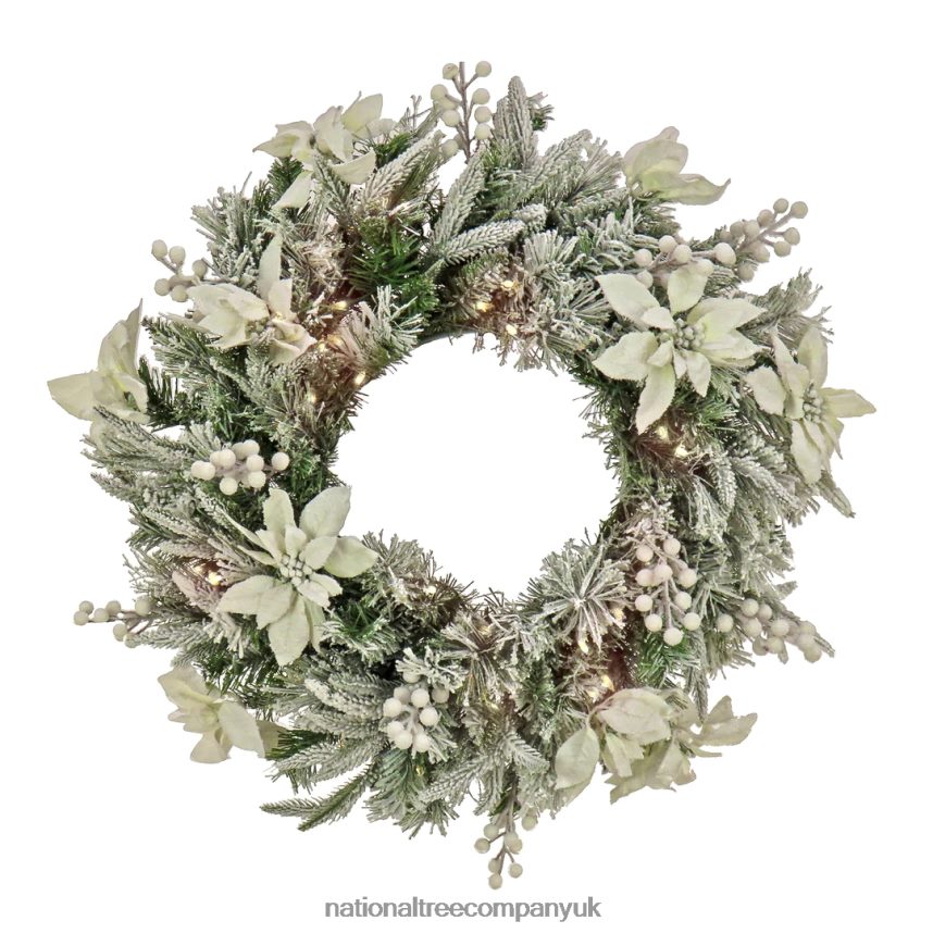 Greenery | National Tree Company Pre-Lit Artificial Christmas Wreath Frosted Colonial White LED Lights Battery Powered 26 in F2L4F270